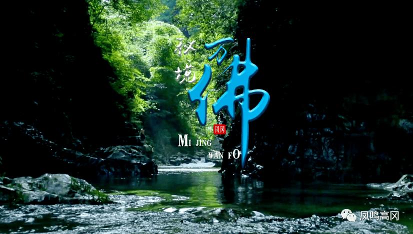 探索问题答案,尽在疫情对你日常生活方式和习惯产生了哪些改变?